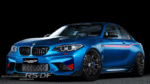 Yokohama ADVAN Racing RS-DF
